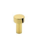 Mood Knop / Haken - Gepolijste Messing - Small